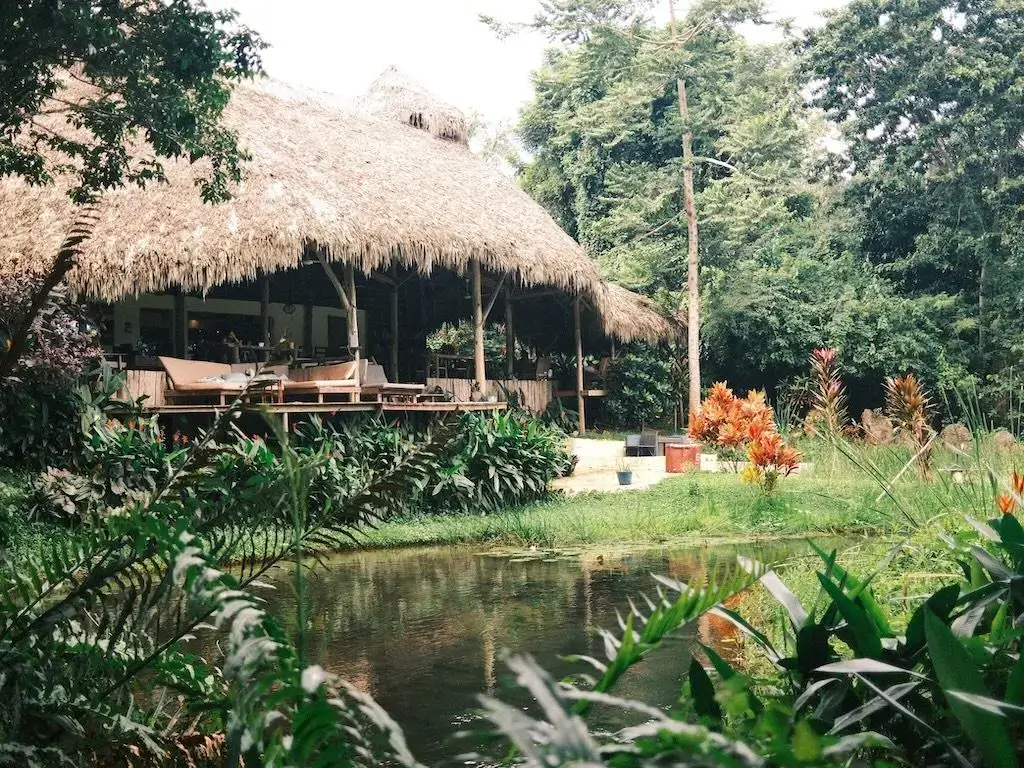 grand bahia principe samana alternatives