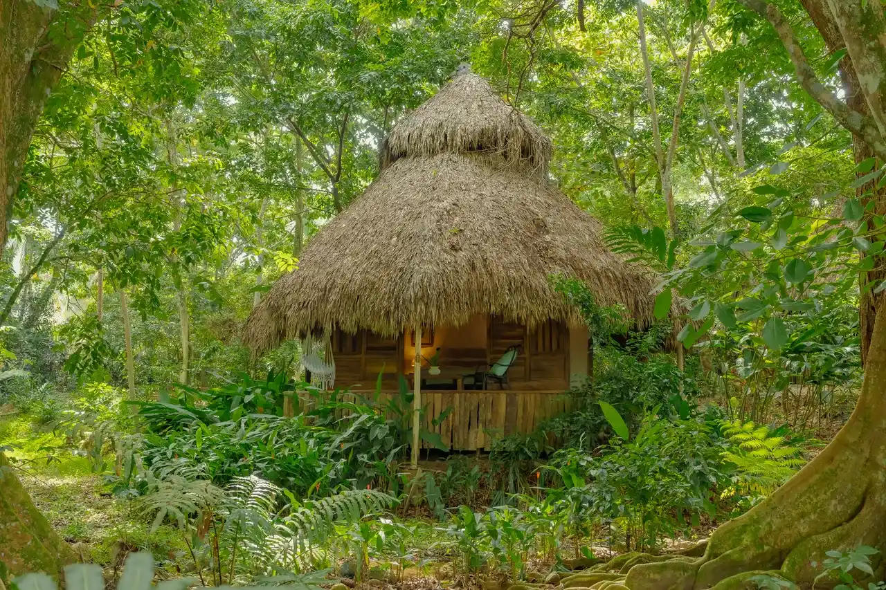 Hotel el valle lodge samana room three 5