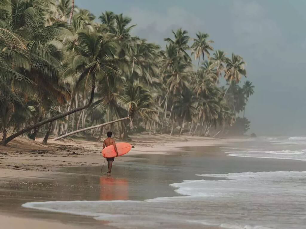 Surf samana dominican republic