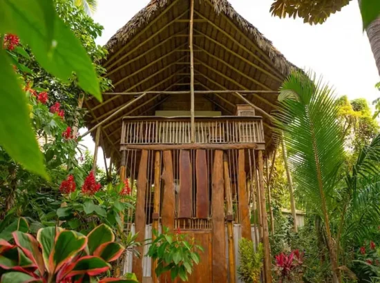 dominican-republic-samana-resorts-(1)