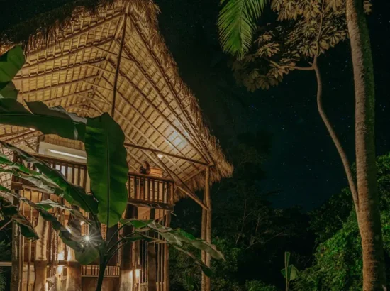A-samana-ecolodge-in-the-dominican-republic