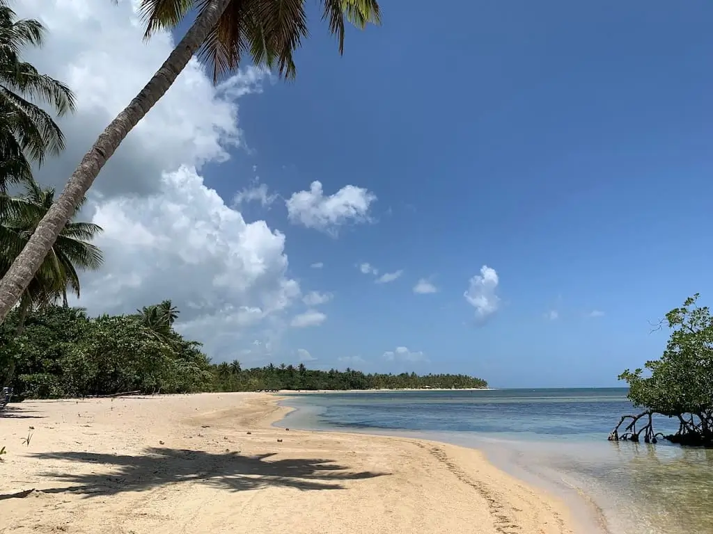 Coson samana