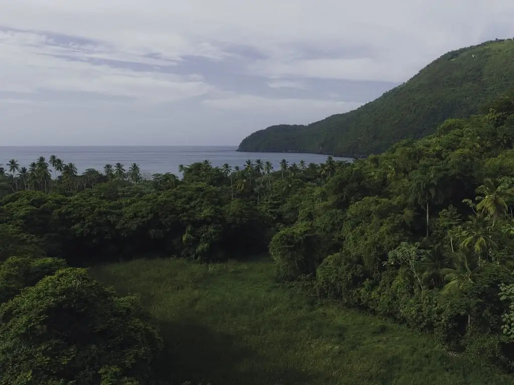 Samana dominican republic